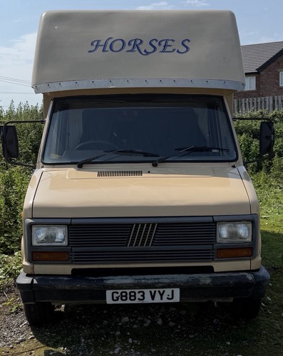 Fiat ducato tonne - 3.5, horsebox