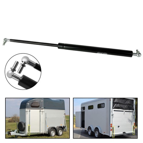 Rear door gas - door,
